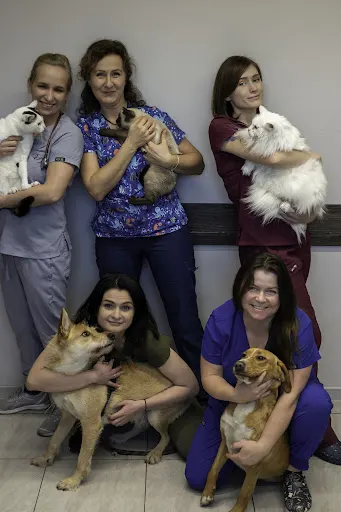 Przychodnia Weterynaryjna 4 łapy